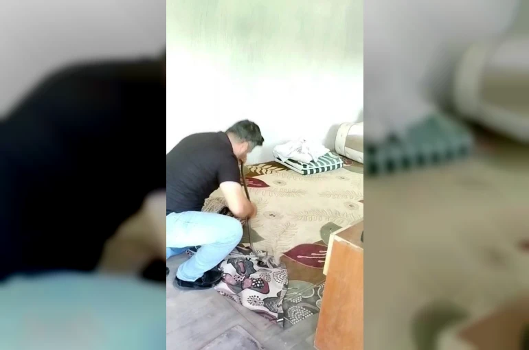 İnsanlar korkularından konteynere giremezken o elleriyle 1 metrelik yılanı yakaladı