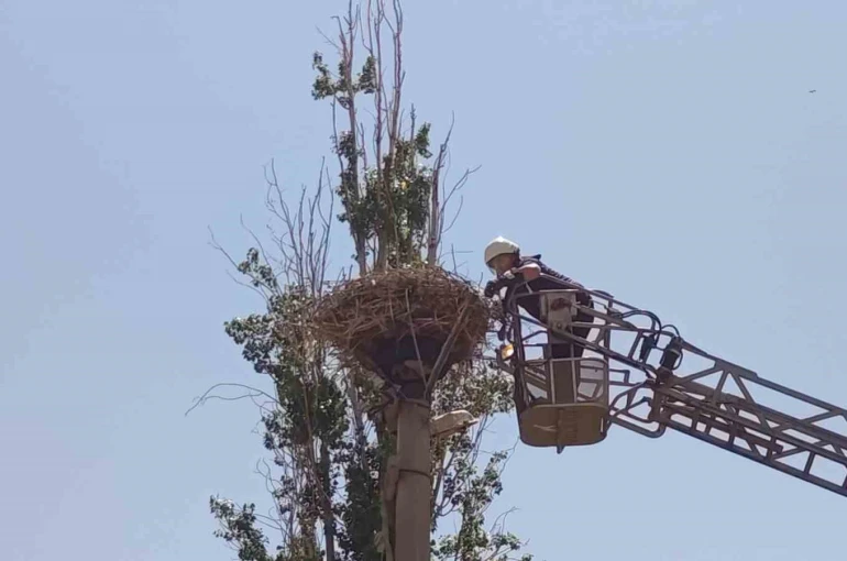 İpe dolanan leyleğin yardımına itfaiye yetişti