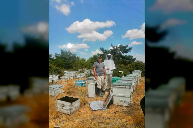 İscehisar’da arılı kovanların tespiti için saha çalışması 