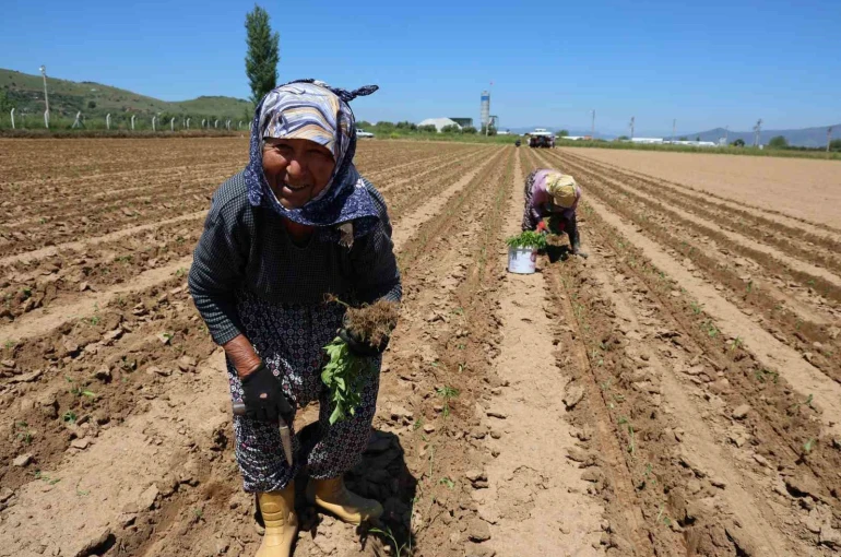 İşçi Bayramı’nın öteki yüzü