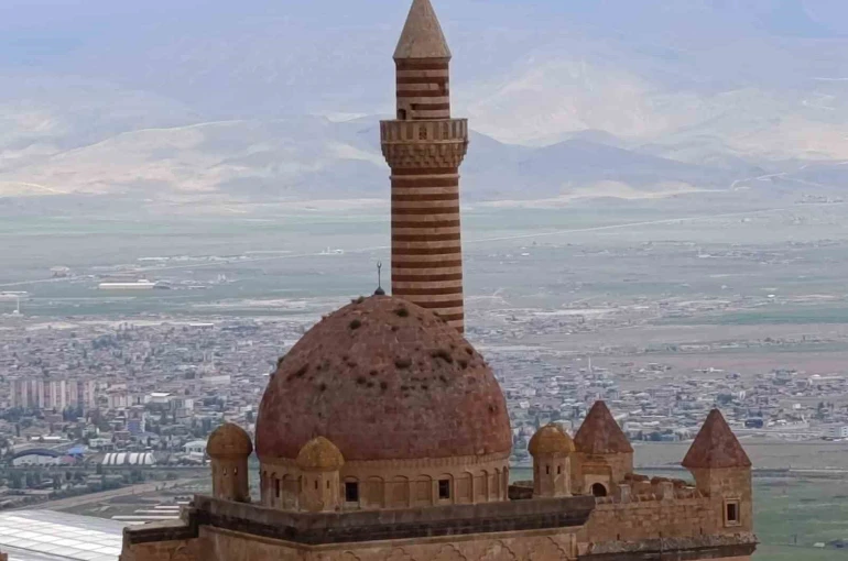 İshakpaşa Sarayı’nın kubbesindeki otlar ziyaretçilerin dikkatini çekti