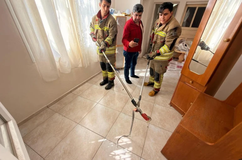 İskenderun’da eve giren yılanı itfaiye yakaladı