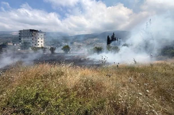 İskenderun’da otluk alan yangını 