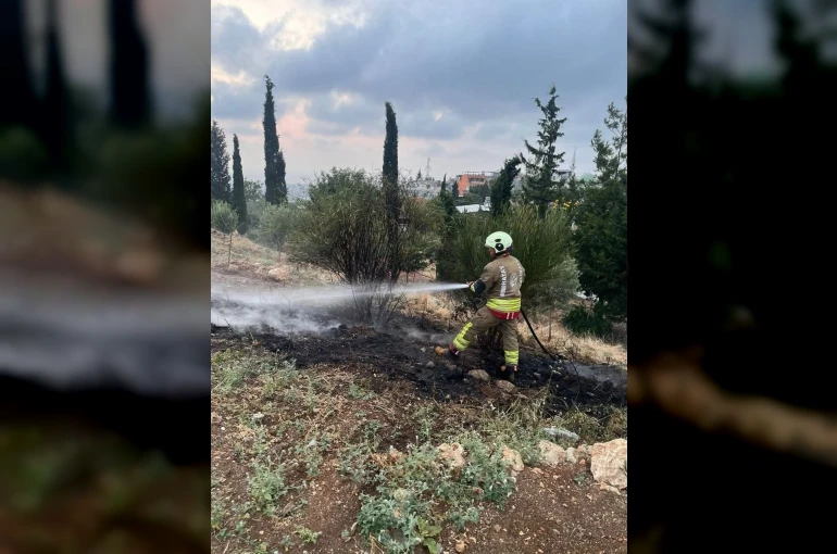 İskenderun’da otluk alan yangını