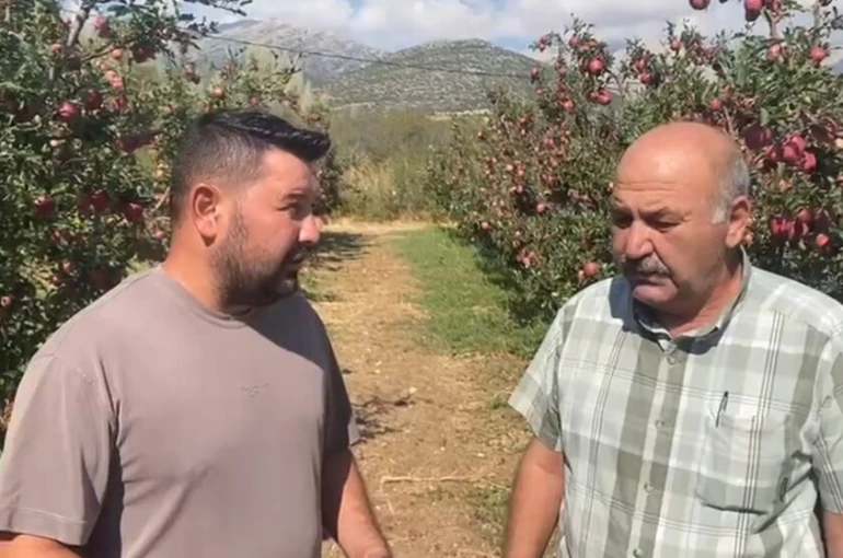 Isparta’da bir gecede 4 bin 200 ton elma doluya teslim oldu, zarar 170 milyon TL