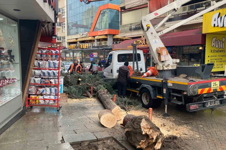 Isparta’da fırtına ağacı kökünden söktü