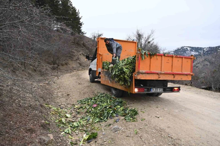 Isparta’da kışın aç kalan yaban hayvanlarına duyarlı dokunuş