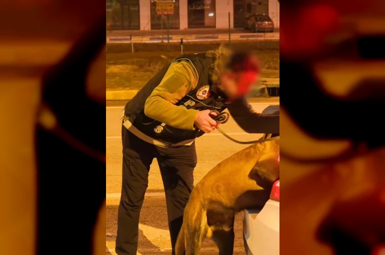 Isparta’da narkotikten bir haftada 18 operasyon, 3 tutuklama