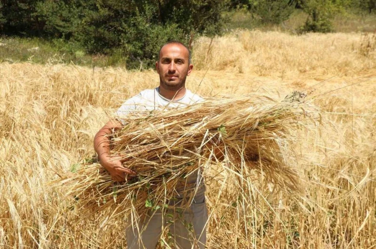 İstanbul’dan Ordu’ya uzanan çiftçilik öyküsü başarıya dönüştü
