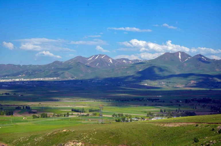 İşte Erzurum’un tarım karnesi