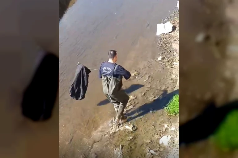 İtfaiye ekipleri dereye düşen horoz için seferber oldu