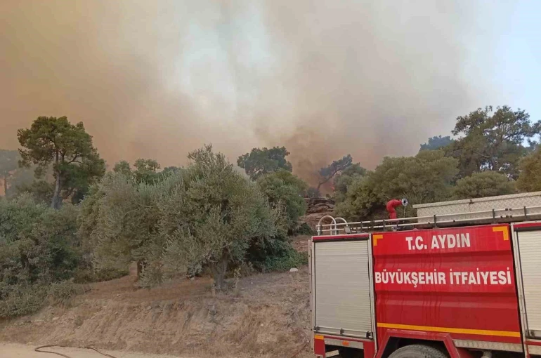 İtfaiye erleri alevlerin arasında kalan kaplumbağayı böyle kurtardı