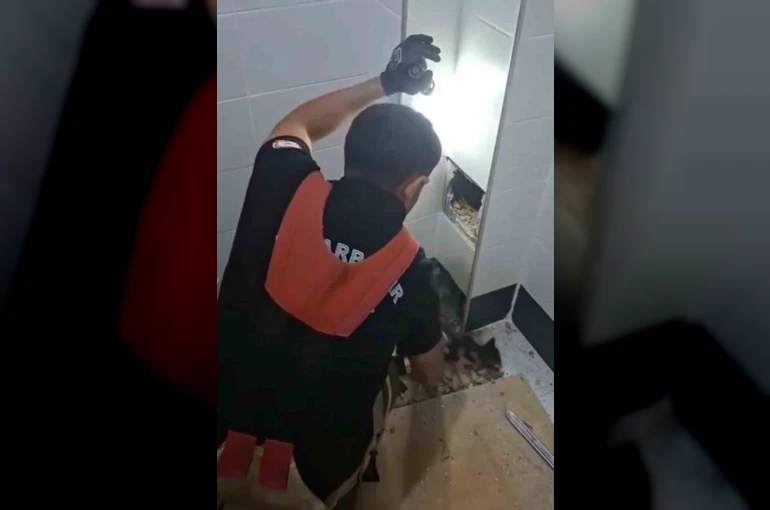 İtfaiye erleri havalandırma boşluğunda kalan kedi için seferber oldu