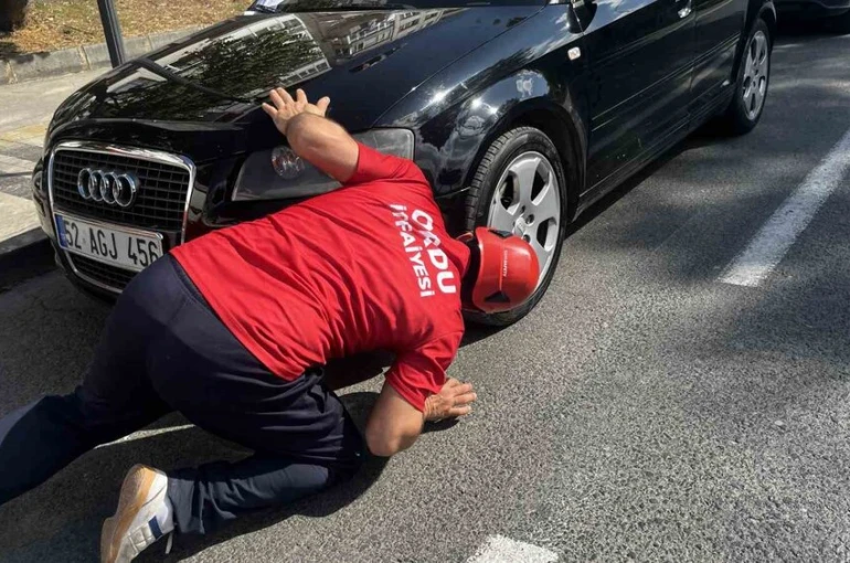 İtfaiyeden kedi kurtarma operasyonu