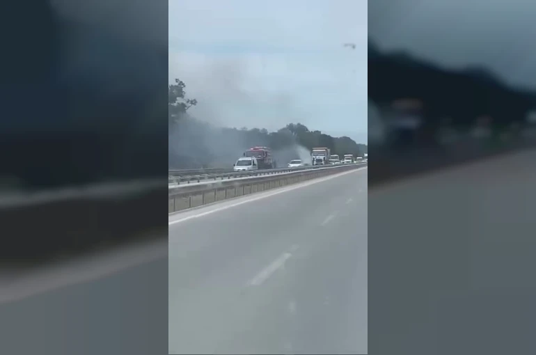 İzmir-Bursa kara yolunda alevler korkuttu