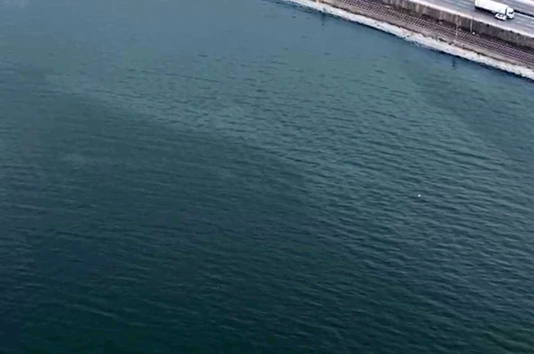 İzmir Körfezi’nde kirlilik alarmı: Aynı tehdit 11. kez görüldü