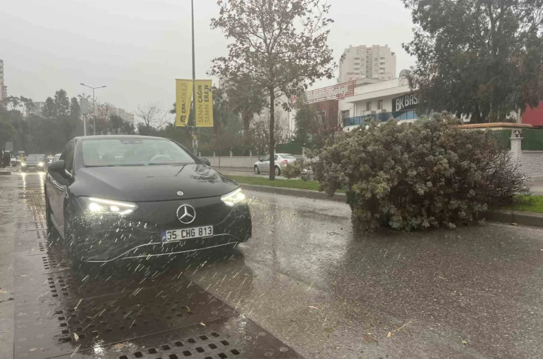 İzmir’de fırtına ağaçları devirdi: 5 araç hasar gördü