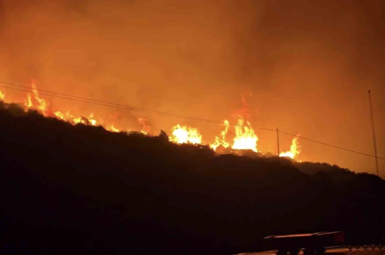 İzmir’de makilik alanda yangın