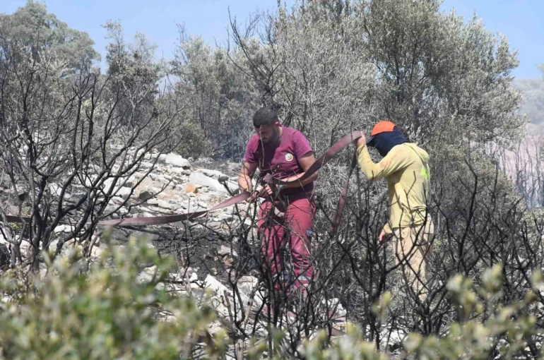 İzmir’de ormanlık alanda çıkan yangın erken müdahaleyle kontrol altında