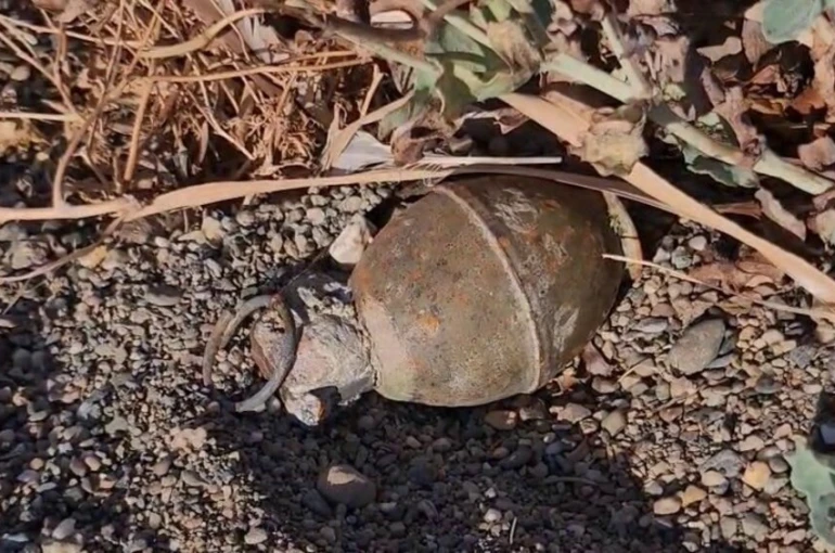 İznik Gölü kıyısında el bombası paniği