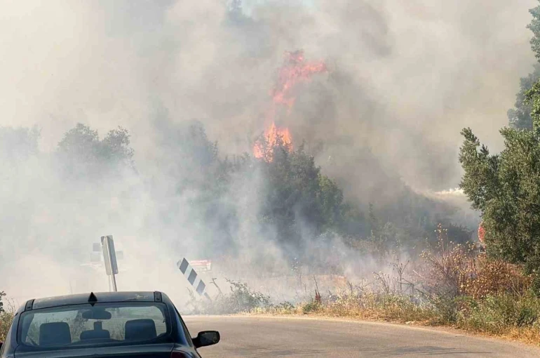 İznik’te korkutan yangın