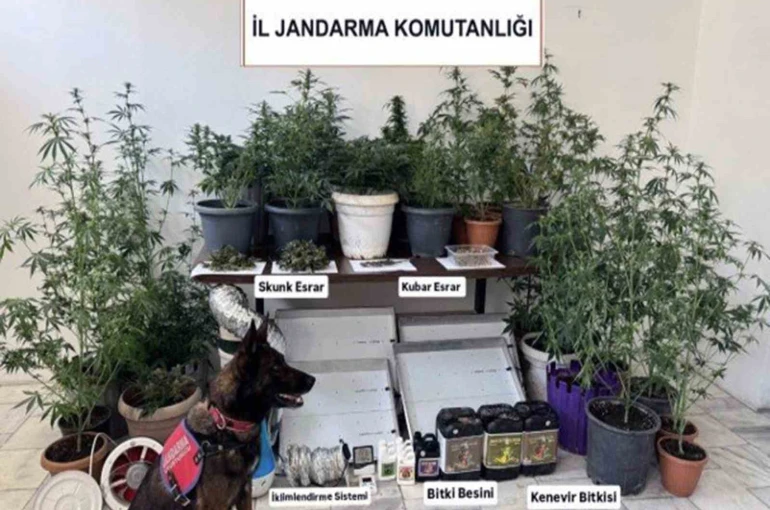 Jandarma ekiplerinin uyuşturucu ve sahte alkol denetimleri sürüyor