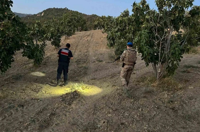 Jandarma incir hırsızlarına geçit vermiyor