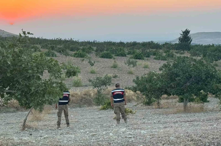 Jandarmadan fıstık nöbeti 