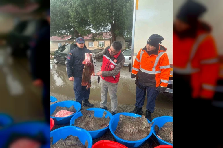 Kaçak avcılık operasyonunda 500 kalkan balığına el konuldu