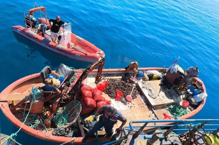 Kaçak avlanan 600 kilo midye tekrar denize bırakıldı