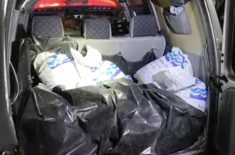 Kaçak toplanan 150 kilo kara kıllı midye denize geri bırakıldı