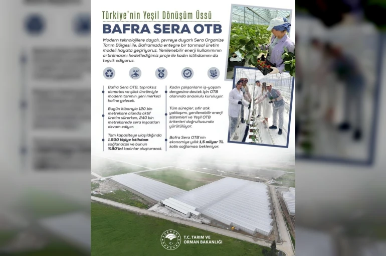 Kadın eliyle yeşeren tarım: Bafra Sera OTB, yıllık 1,5 milyar liralık katkı sunacak