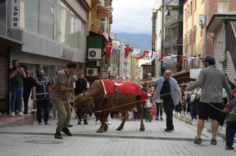 "Kafkasör Festivali" boğalı kortej yürüyüşüyle başladı