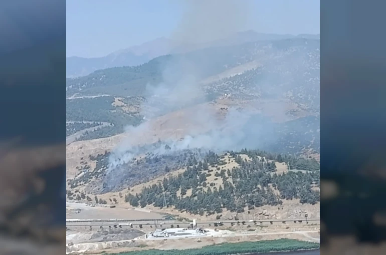 Kahramanmaraş’ta orman yangını