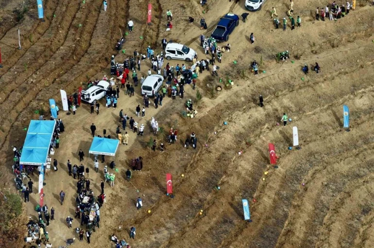 Kahramanmaraş’ta yanan alanlara fidanlar dikildi