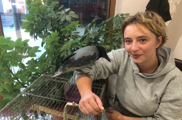 Kahvehane bağımlısı karga mahallenin maskotu haline geldi