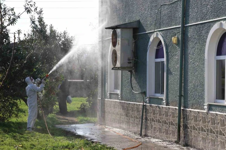 Kahverengi kokarca ile mücadele: 850 hane, 23 kamu alanı ve 623 ahır ilaçlandı