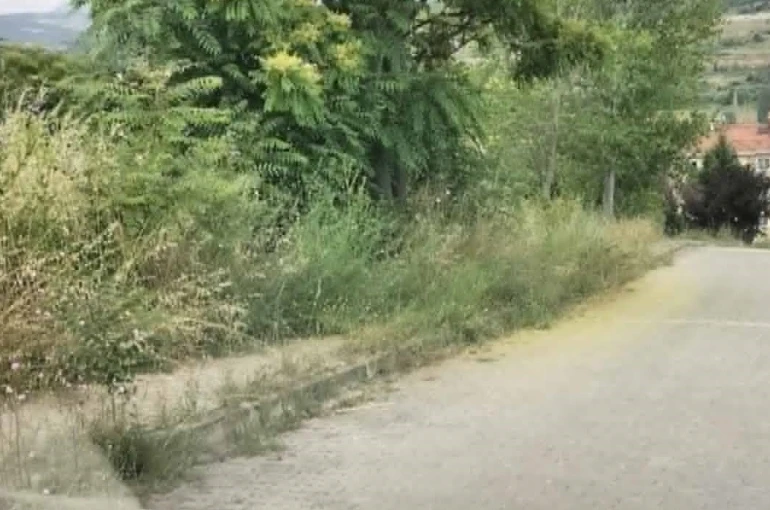 Kaldırımları otlar kaplayınca vatandaşların yılan korkusu başladı