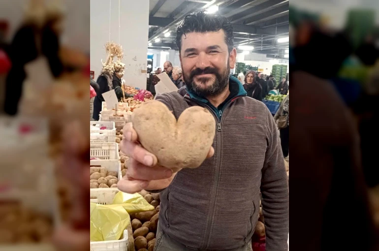 Kalp şeklindeki patates ilgi odağı oldu