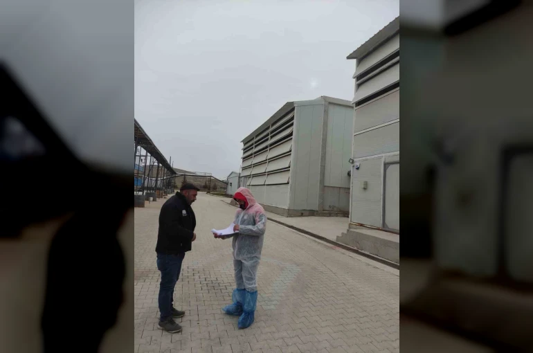 Kanatlı hayvan ve yumurta üretim tesislerinde denetim