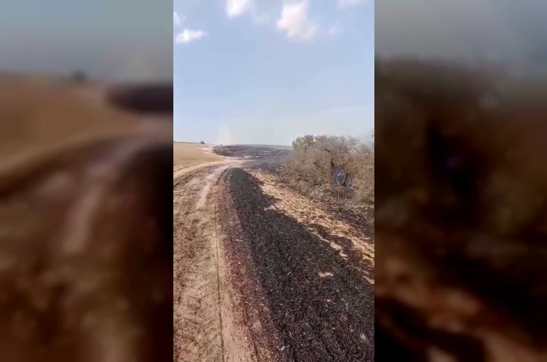 Kapaklı’da çıkan yangında 8 dönüm arazi kül oldu