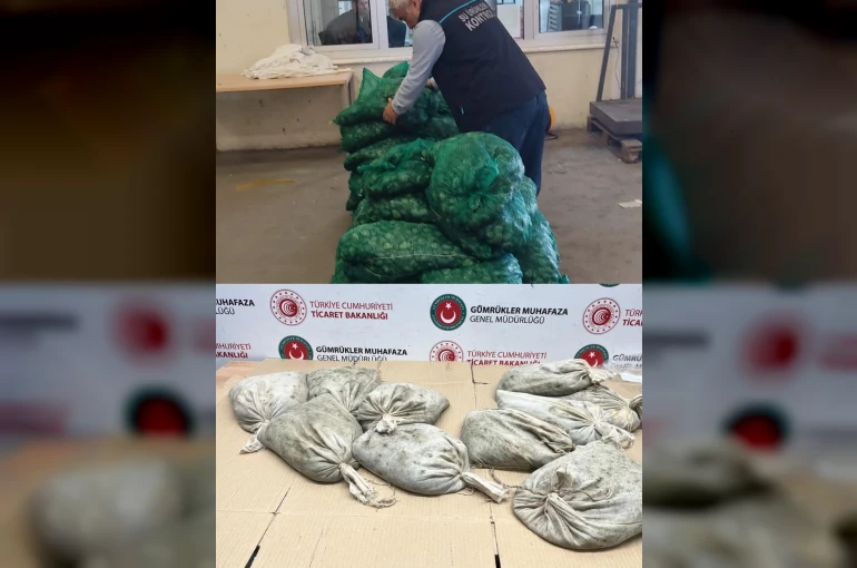 Kapıkule’de 760 kilo kaçak midye ele geçirildi