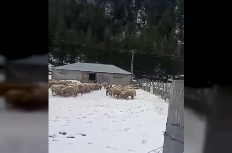 Kar kalınlığı 1 metreye ulaştı, mahsur kalan vatandaş kurtarıldı