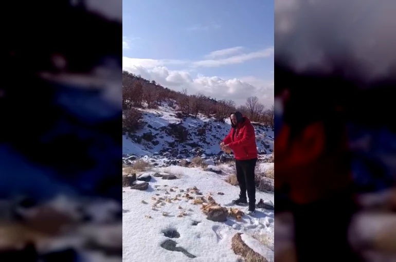 Kar yağışı Karacadağ’daki yaban hayatını zorladı