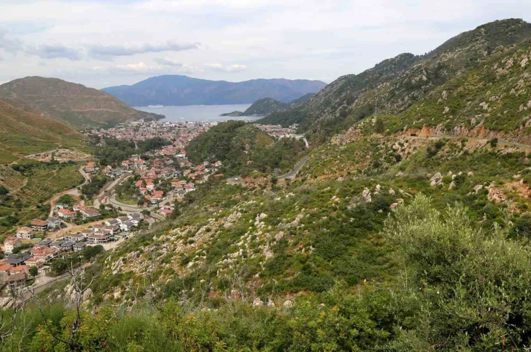 Kara tablo 5 yılda yeşile döndü