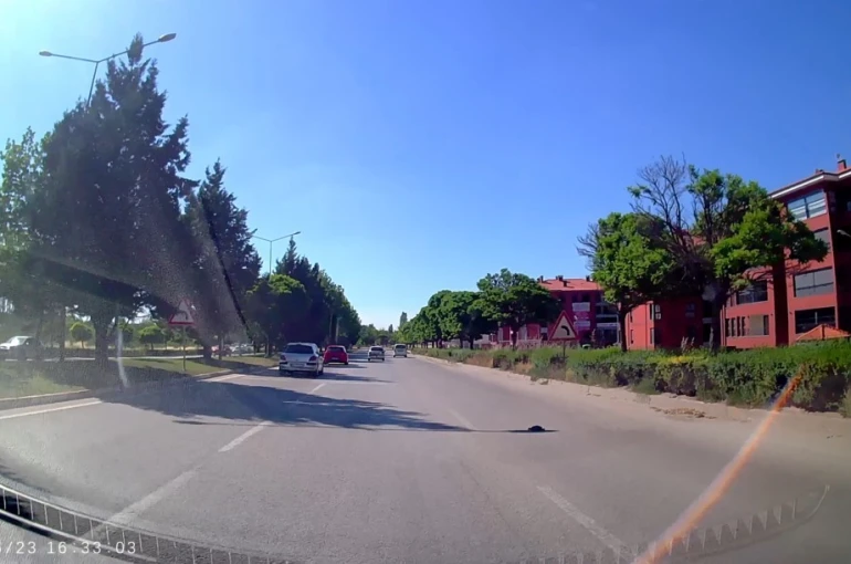Kara yolunda mahsur kalan kaplumbağasına yardım eli