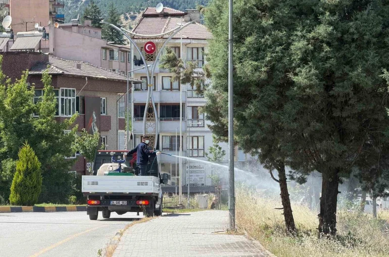 Karabük’te sinek ve haşereyle mücadele çalışmaları sürüyor 