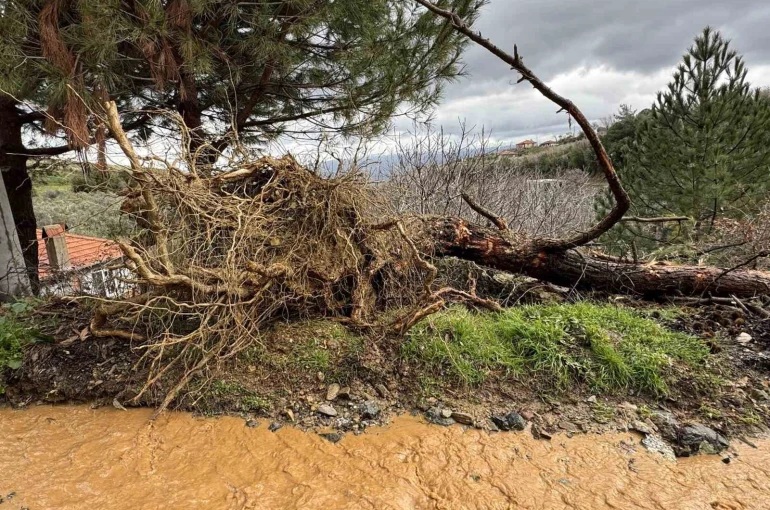 Karacasu’da aşırı yağışlar sonrası toprak kaydı, ağaçlar devrildi