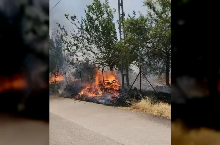 Karadağ Ormanlık alanda çıkan yangın korkuttu