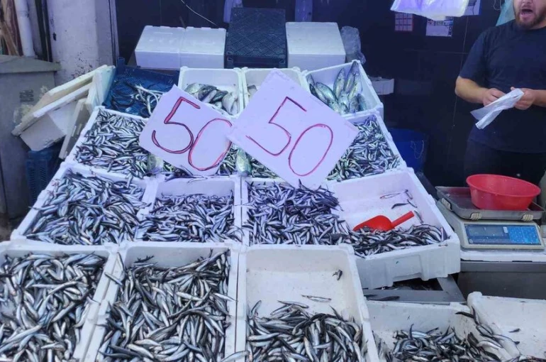 Karadeniz hamsisi tezgahları doldurdu: Kilosu 50 lira